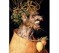 DQCJIYIGL Famoso Poster Con Artistiche Painting Image Invierno de Giuseppe Arcimboldo per la Decorazione Della Parete 60x90cm