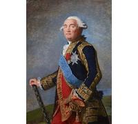 DQCJIYIGL Famoso Poster Con Artistiche Painting Image Retrato de Philippe Henri Marquis De Ségur por Louise Élisabeth Vigée Le Brun per la Decorazione Della Parete 60x90cm