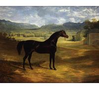 DQCJIYIGL Tela e Immagini Vintage Quadri Jack Spigot un caballo de carreras de Dark Bay en un potrero en Bolton Hall por John Frederick Herring Senior per L'arredamento Della Camera da Letto 60x90cm
