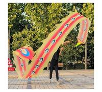 DQZRTUECA Danza del Nastro Cinese del Drago Poi con Palla, Seta for Esterni, Lunghezze Multiple 6-10 m(Style2,10 m/33ft Long)