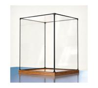 DQZRTUECA Espositori di plastica trasparente, Vetrina in acrilico trasparente con base in legno, contenitori impilabili for hobby, dimensioni multiple(20x50xH 50cm (8x20xH 20in))