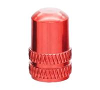 DQZRTUECA Kit Valvola in Lega di Alluminio Multicolor 10 Pz con Strumento di Rimozione for Biciclette(Color4)