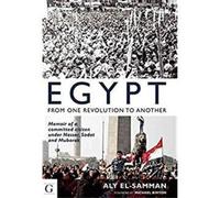 Dr Aly Elsamman Michael Bin Egypt from One Revolution to Anot (Copertina rigida)