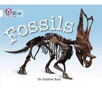 Dr Andrew Ross Fossils (Tascabile) Collins Big Cat