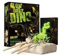 Dr. Daz - Archeogiocando fosforescenti dino -Kit di scavi per Dinosauri T-Rex Assemblare Gli 16 Pezzi di Dinosauro