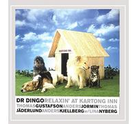 Dr. Dingo - Relaxin' At Kartong Inn