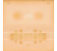 Dr. Dog Dr. Dog (Vinyl LP) 12" Album