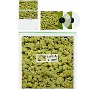 Dr. Dre - Dr. Dre - 2001 25th Anniversary Clear & Green Split Alternate Artwork