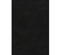 Dr. Frank Char KJV, Thompson Chain-Reference Bible, Larg (Rilegato in ecopelle)