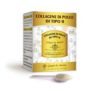 Dr Giorgini Collagene Di Pollo Di Tipo Ii Polvere Solubile 100g - Integratore