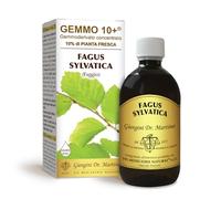 Dr Giorgini FAGGIO Gemmoderivato Concentrato Liquido Analcoolico - 500 ml