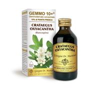 Dr Giorgini Gemmo 10+ Biancospino 100 ml - Integratore Liquido