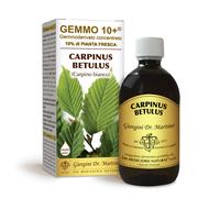 Dr Giorgini Integratore Alimentare, Carpino Gemmoderivato Concentrato Liquido Analcoolico - 500 ml
