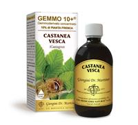 Dr Giorgini Integratore Alimentare, Castagno Gemmoderivato Concentrato Liquido Analcoolico - 500 ml