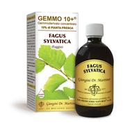 Dr Giorgini FAGGIO Gemmoderivato Concentrato Liquido Analcoolico - 500 ml