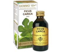 Ficus carica gemmo 10+100ml