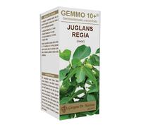 Dr. Giorgini GEMMO 10+ NOCE 100 ML LIQUIDO ANALCOLICO