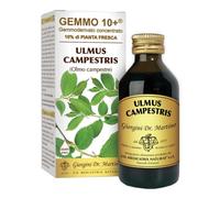 OLMO CAMP 100ml Analc.Gemme10+
