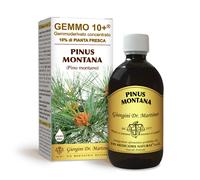 Dr Giorgini Integratore Alimentare, Pino Montano Gemmoderivato Concentrato Liquido Analcoolico - 500 ml