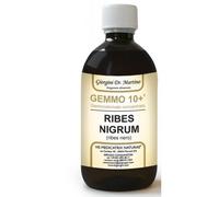 GEMMO 10+ Ribes Nero 500 ml Liquido analcoolico - Dr. Giorgini