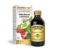 Dr Giorgini Integratore Alimentare, Viburno Gemmoderivato Concentrato Liquido Analcoolico - 100 ml