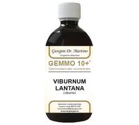 Dr. Giorgini Gemmoderivato Viburno analcolico Gemmo 10+, 500ml
