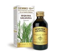 Dr Giorgini Integratore Alimentare, Sequoia Gemmoderivato Concentrato Liquido Analcoolico - 100 ml