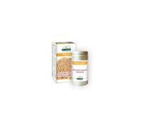 DR.GIORGINI - PSILLIO ESTRATTO TITOLATO 100 g polvere