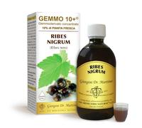 giorgini Ribes nero gemme 10+500ml gmg