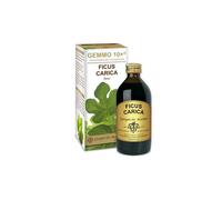 DR.GIORGINI SER-VIS Srl FICO 200ML LIQ ANALCO GEMMO10+