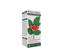 Rosa canina estr integr 200ml