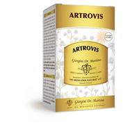 DR.GIORGINI SER-VIS Srl ARTROVIS POLVERE SOLUBILE 360 G