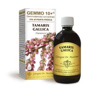 Dr Giorgini TAMERICE (TAMARIX GALLICA) G10+ Gemmoderivato - 500 ml