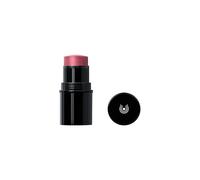 DR. HAUSCHKA Lip to Cheek (03 Legno di Rosa)
