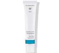 Dr Hauschka MED Crema viso alla pianta di ghiaccio