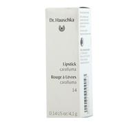 Dr. Hauschka Rossetto 14 Caralluma 4,1 g