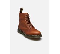 1460 Pascal by Dr. Martens 40 Marrone
