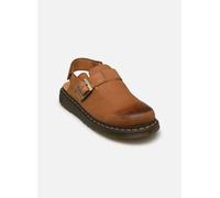 Dr. Martens - Jorge II Mule Marrone - Sandali e scarpe aperte 43 Marrone