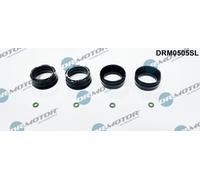 Dr. Motor Automotive Anello Guarnizione Supporto Ugelli per Fiat Ducato Box 160