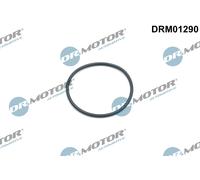 Dr. Motor Automotive Anello Guarnizione Tendicatena per Land Rover Discovery