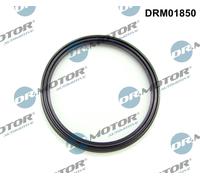 DR.MOTOR AUTOMOTIVE Anello tenuta Flessibile aria alimentazione DRM01850