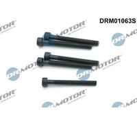 DR.MOTOR AUTOMOTIVE Bullone Supporto iniettore DRM01063S