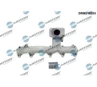Dr. Motor Automotive Collettore Impianto di Scarico per VW Crafter 30-50 Box 2.5