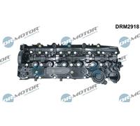 Dr. Motor Automotive Copertura Testa Cilindro Per BMW X3 F25 XDRIVE30D 5ER