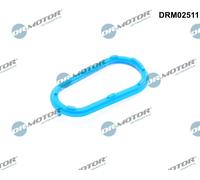 Dr.Motor Automotive Dichtung Lader Per MINI Mini Cabriolet Cooper S John