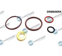 Dr.Motor Automotive DRM006RK Kit riparazione, Gruppo pompa-iniettori per AUDI,FO