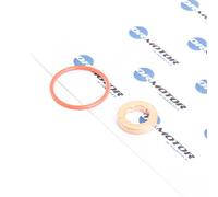 DR.MOTOR AUTOMOTIVE DRM009 Kit guarnizioni, Iniettore