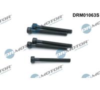 Dr.Motor Automotive DRM01063S Bullone, Supporto iniettore per VW