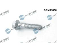 Dr.Motor Automotive DRM01066 Bullone, Supporto iniettore per FORD