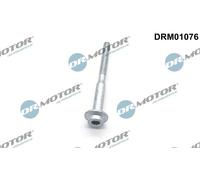 Dr.Motor Automotive DRM01076 Bullone, Supporto iniettore per AUDI,SEAT,SKODA,VW